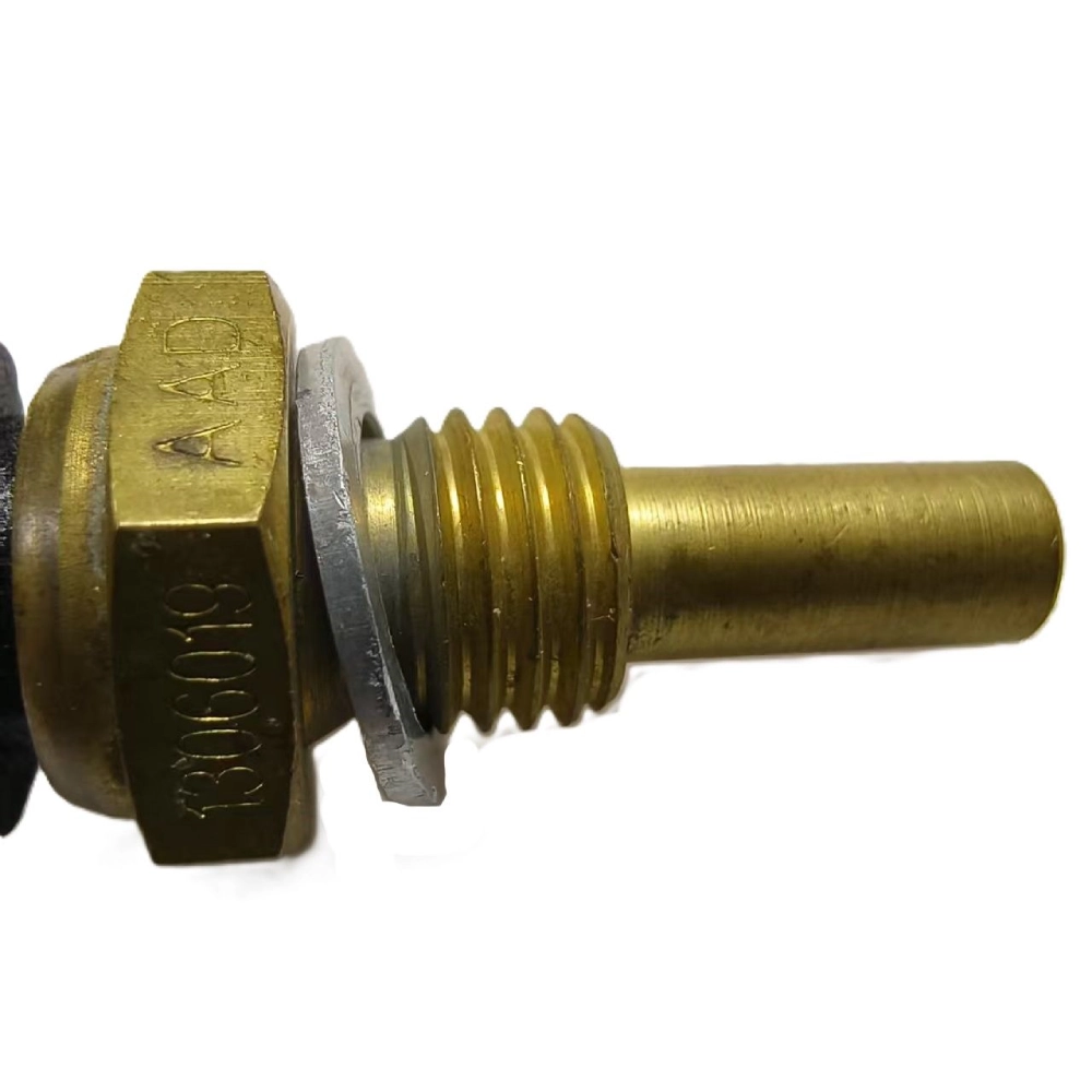 Customized Automotive Temperature Sensors OEM Service Factory Direct Supply