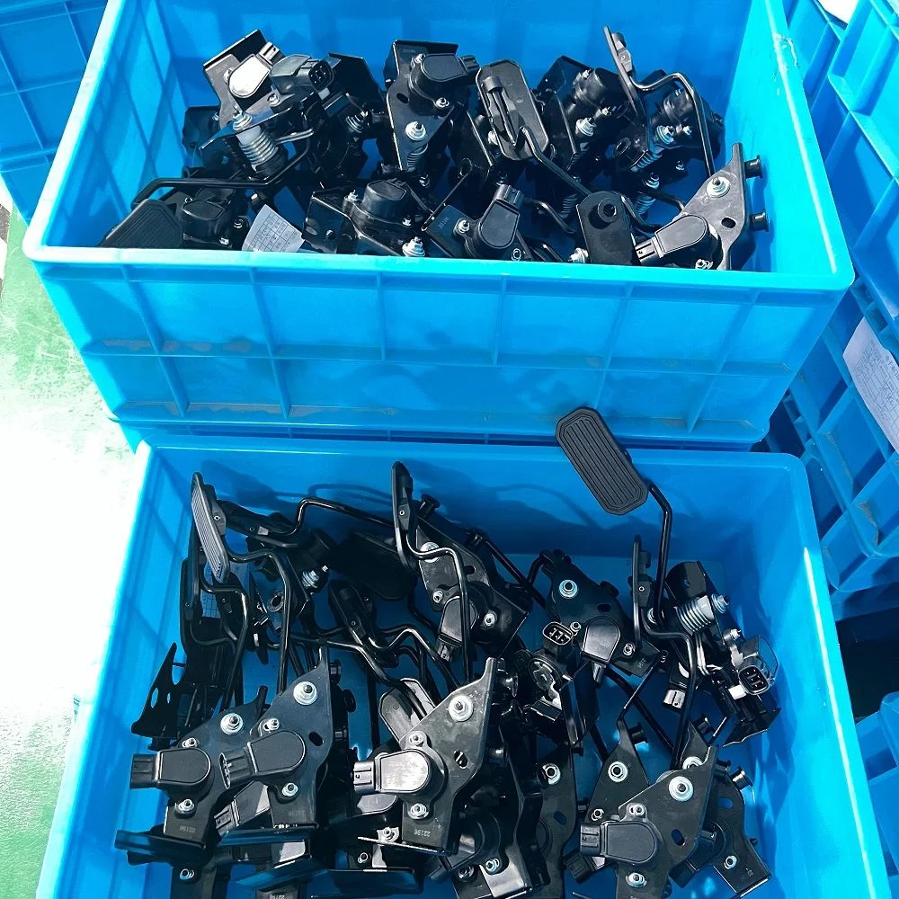 China OEM Factory Other Auto Parts Plastic and Metal Accelerator Throttle Pedal